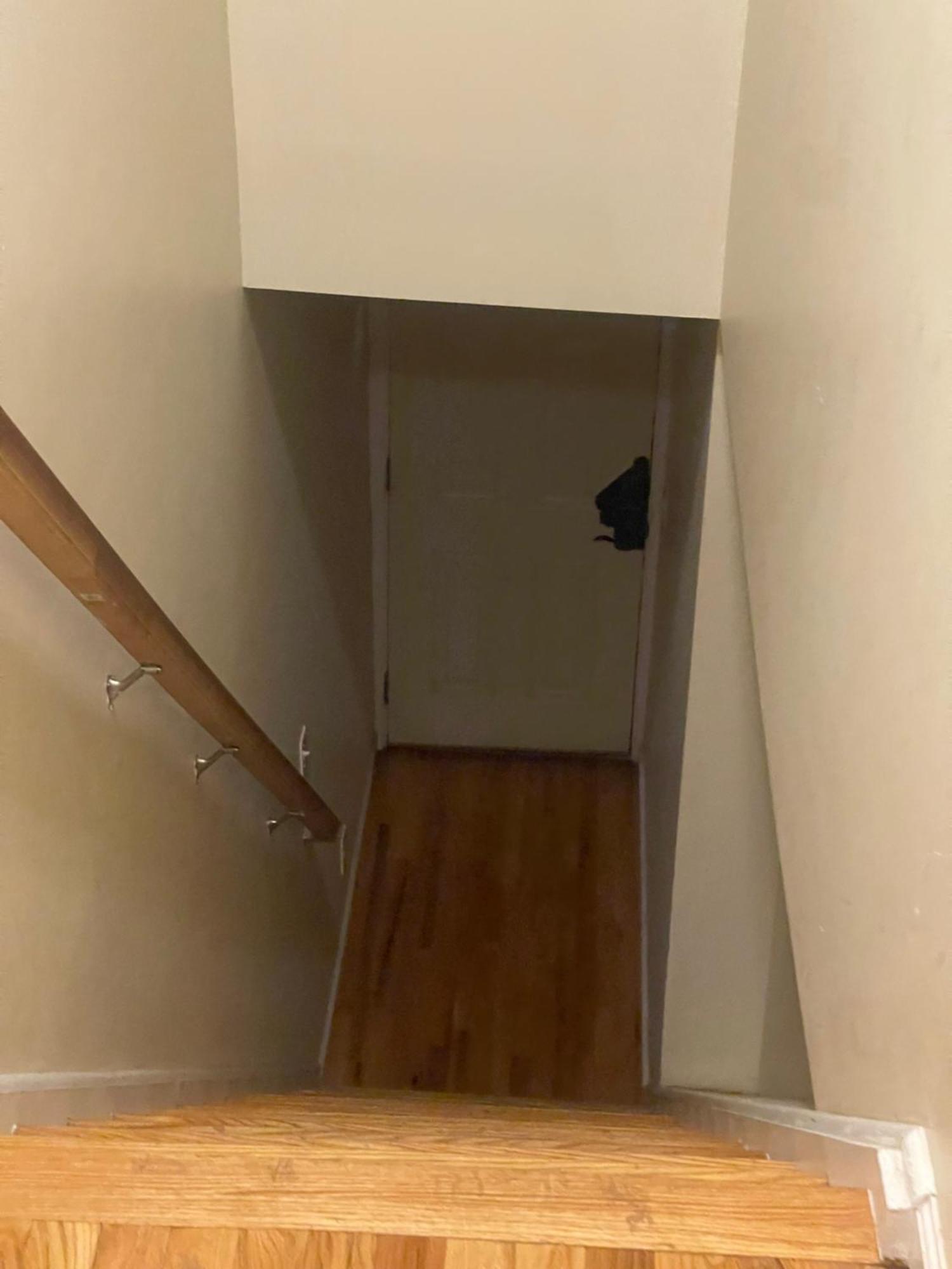 Peculiar 169 Sussex Ξενοδοχείο Νιούαρκ Εξωτερικό φωτογραφία